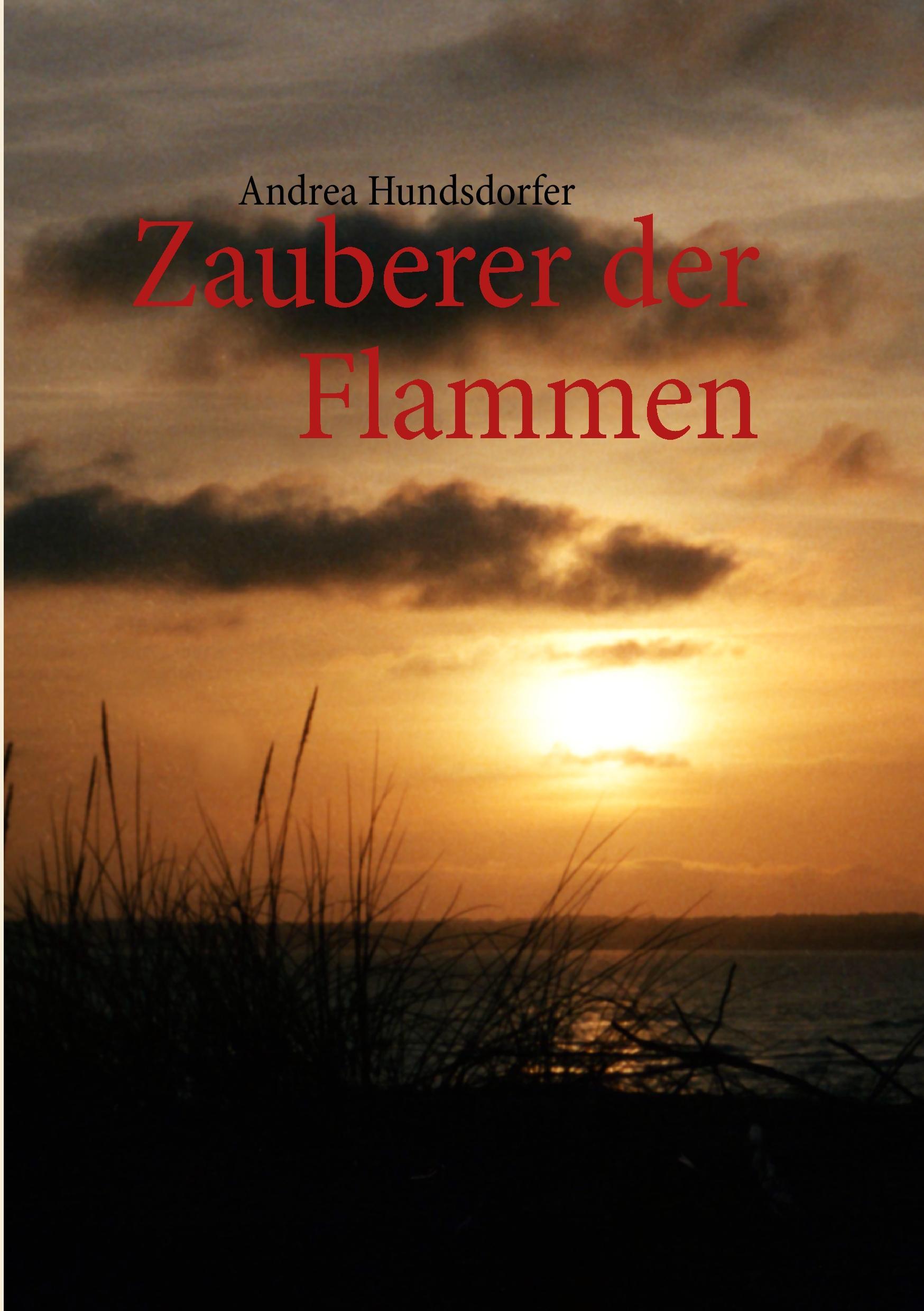Vorderes Coverbild Zauberer der Flammen