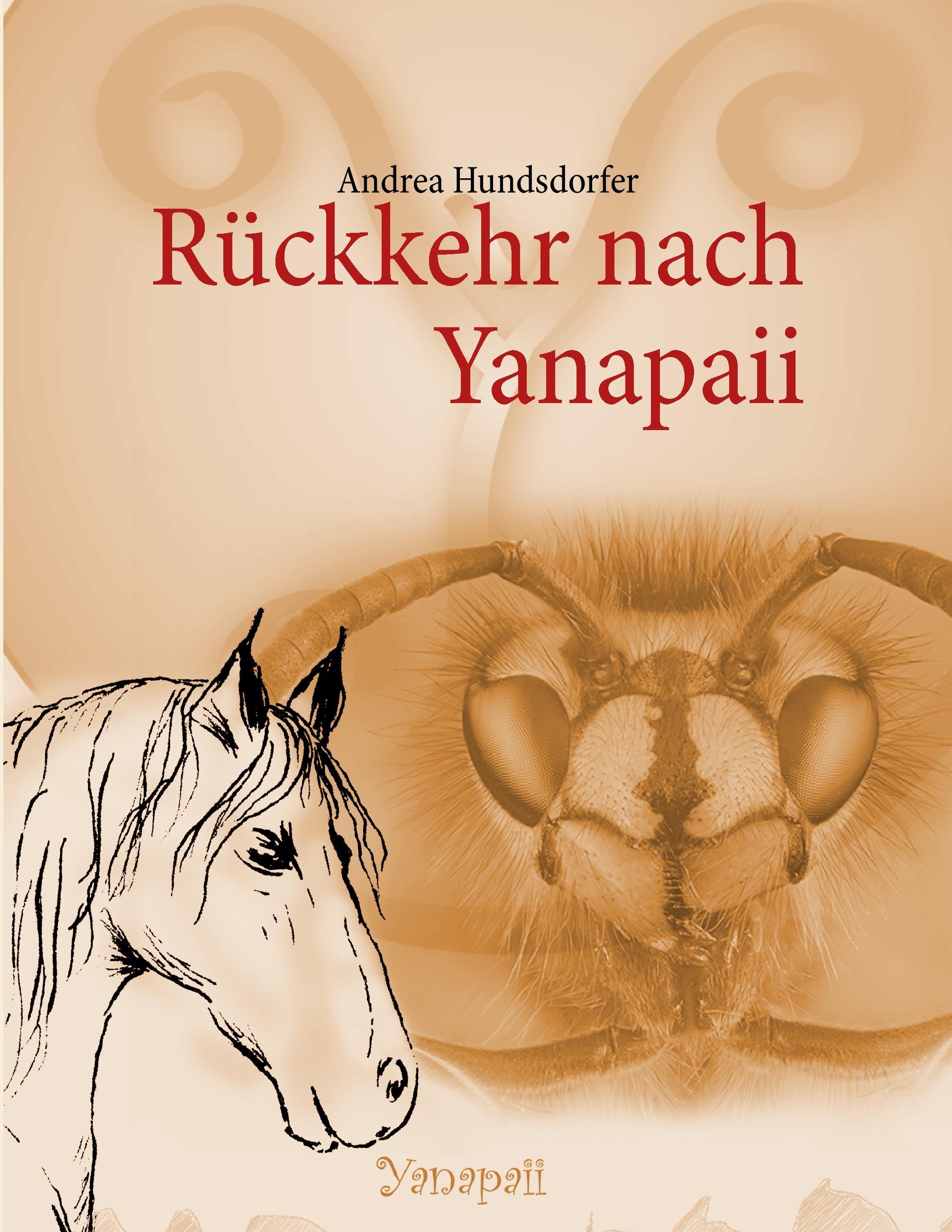 Vorderes Coverbild Rückkehr nach Yanapaii