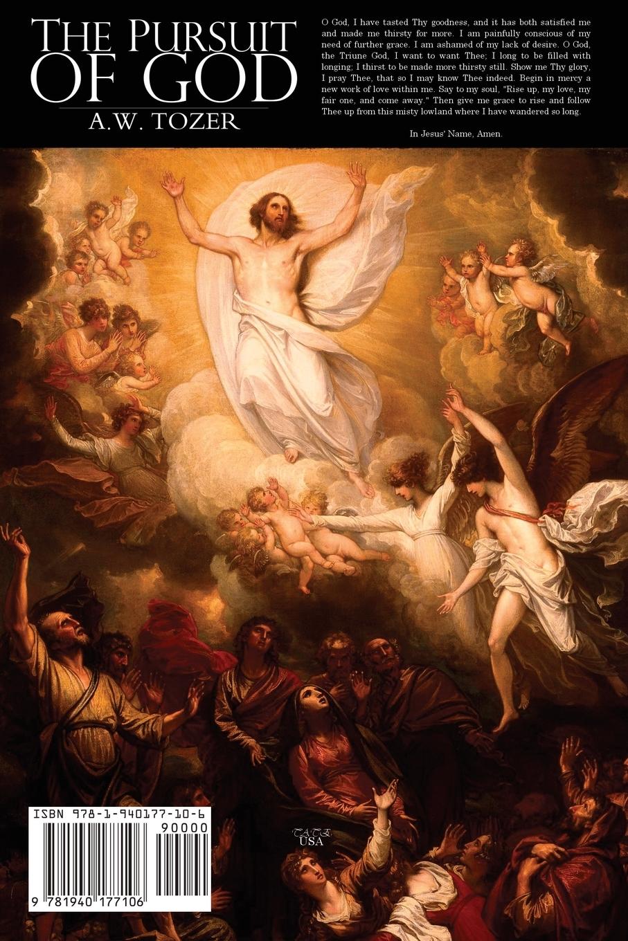 Rückseitencover The Pursuit of God