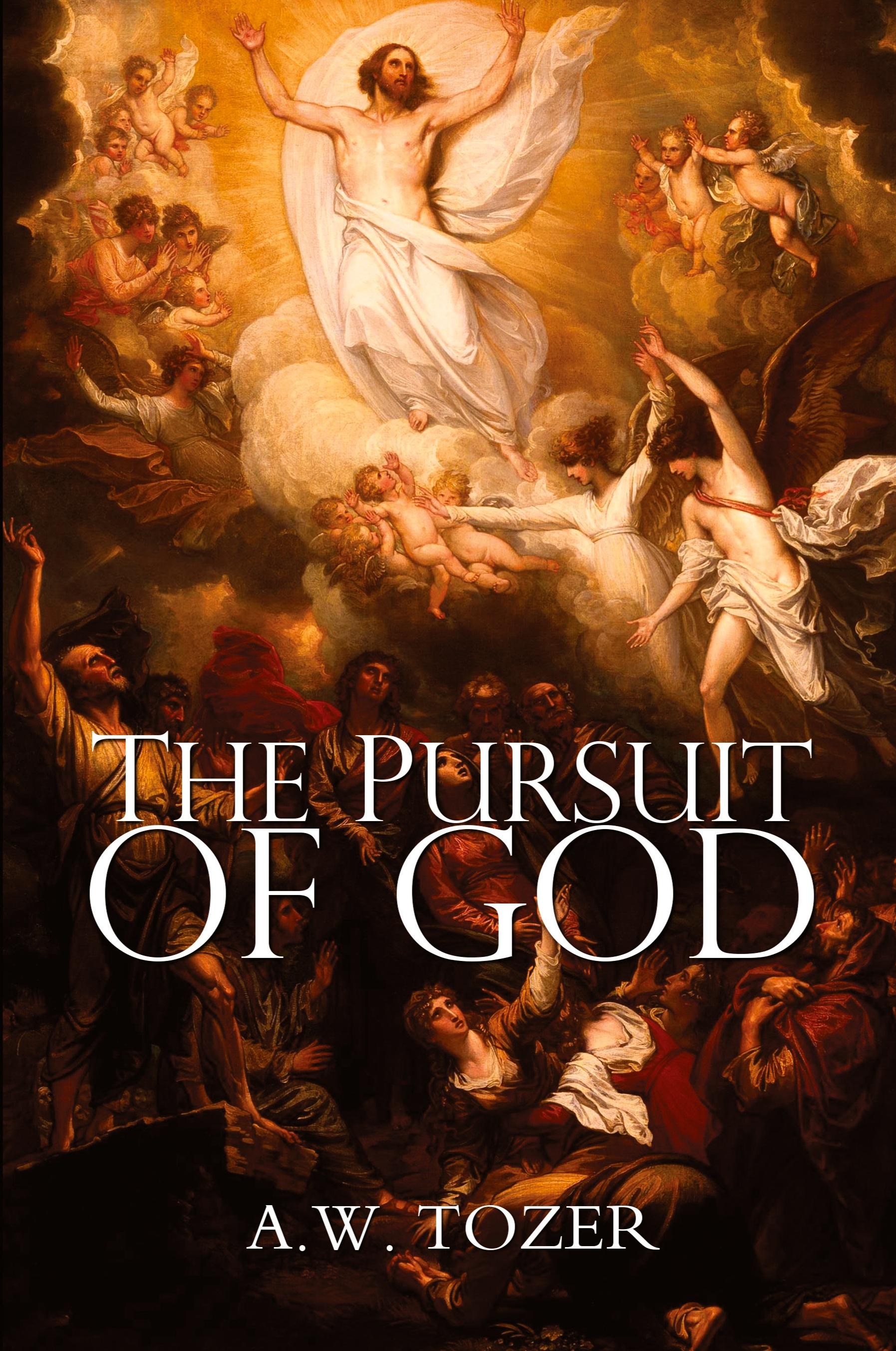 Vorderes Coverbild The Pursuit of God
