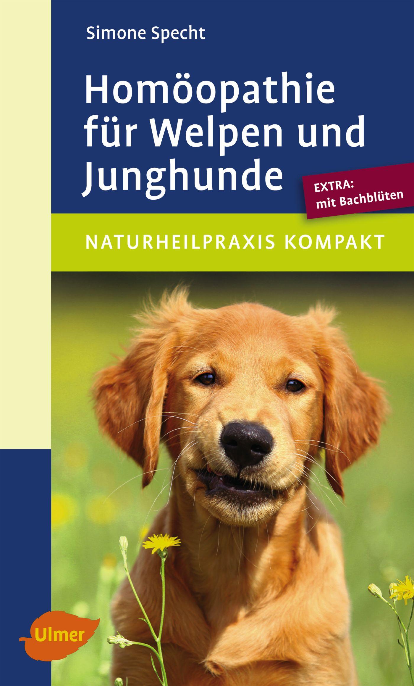 Vorderes Coverbild Homöopathie für Welpen und Junghunde