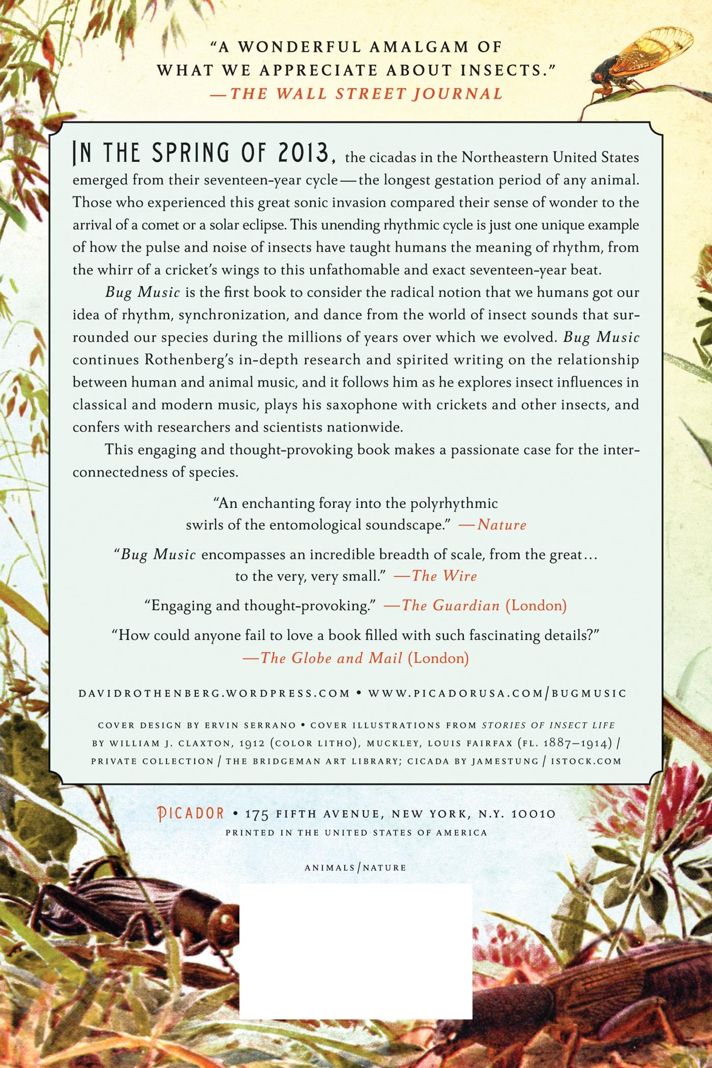 Rückseitencover BUG MUSIC