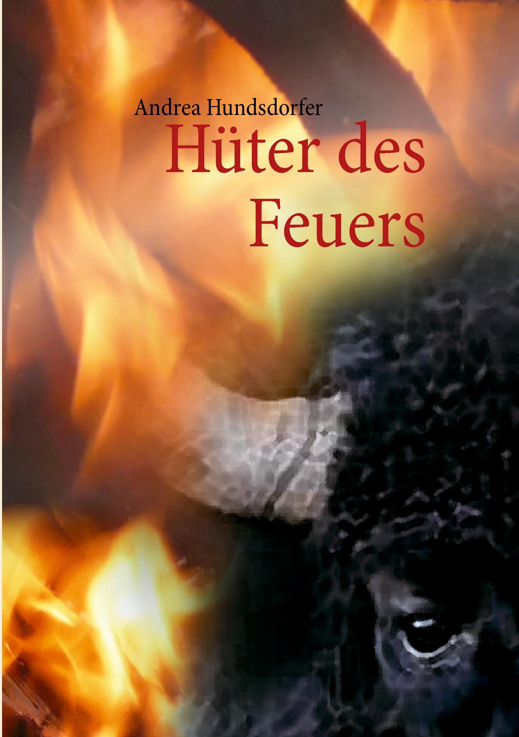 Vorderes Coverbild Hüter des Feuers