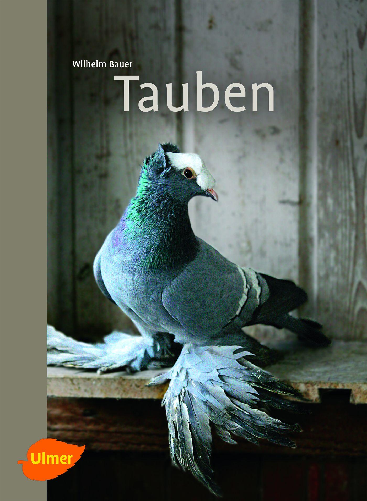 Vorderes Coverbild Tauben