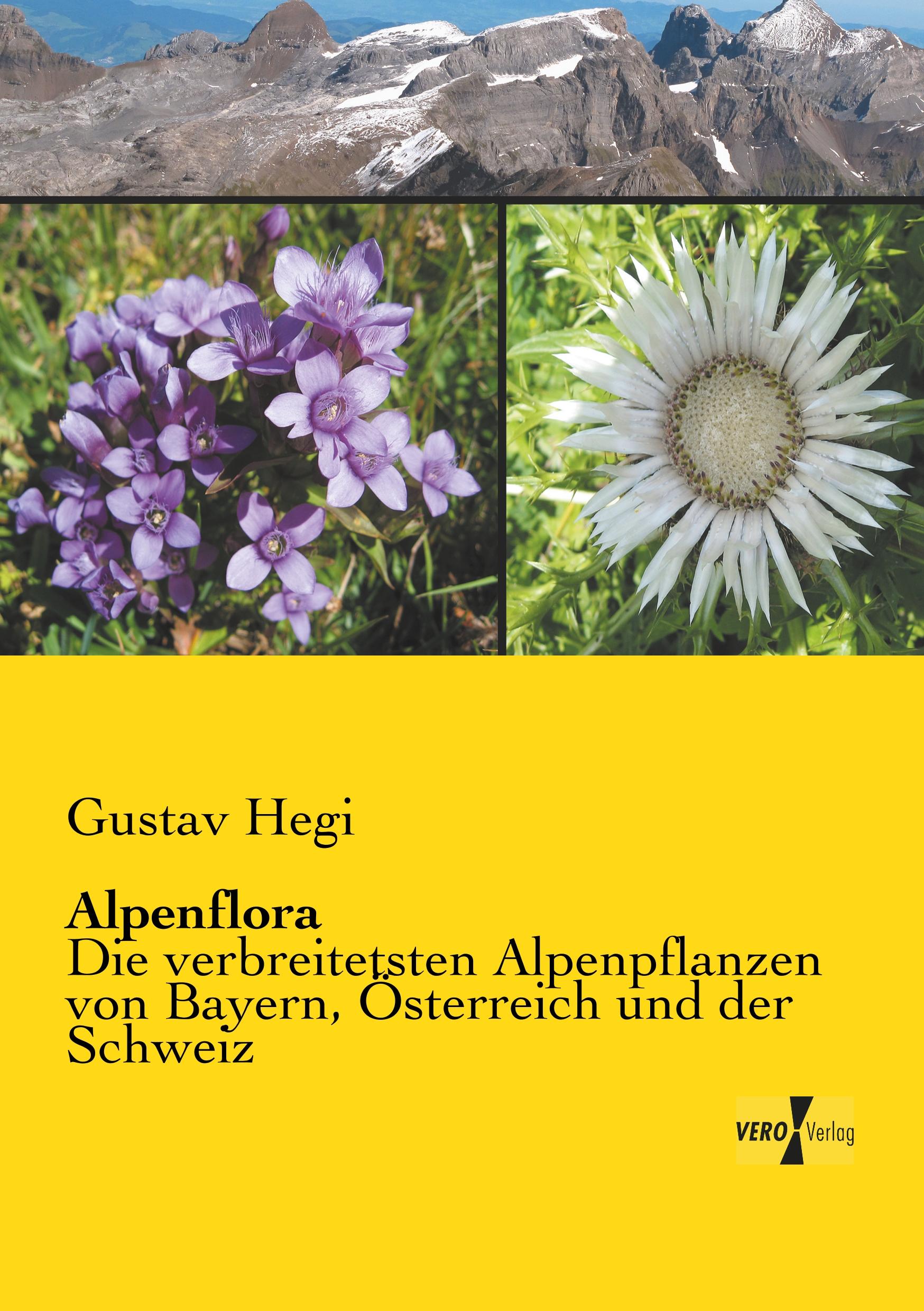 Vorderes Coverbild Alpenflora