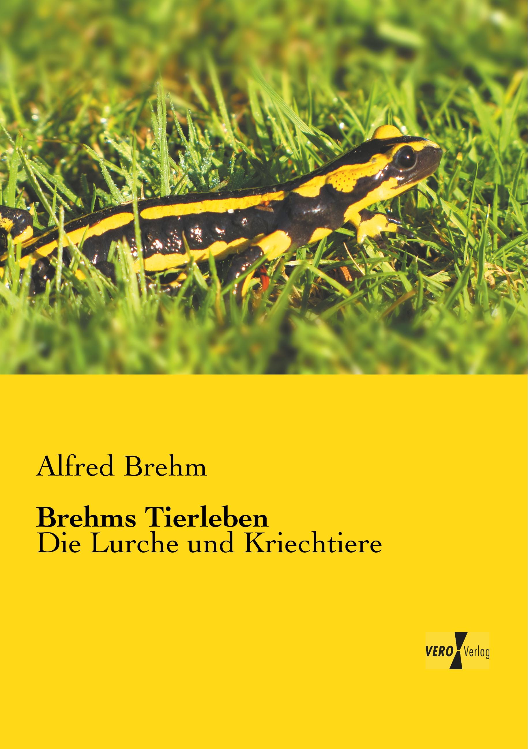 Vorderes Coverbild Brehms Tierleben