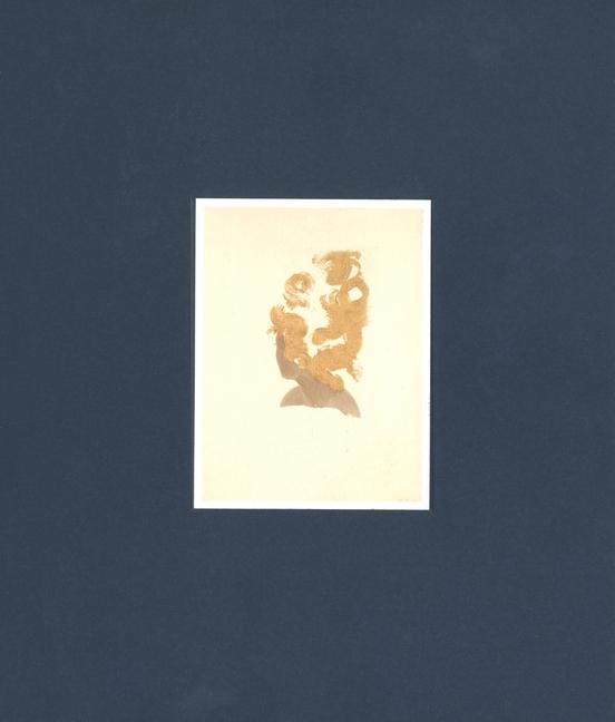 Vorderes Coverbild Lorna Simpson: Works on Paper