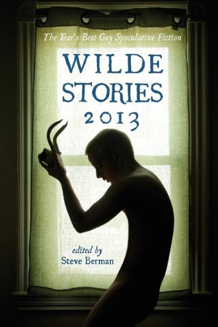 Vorderes Coverbild Wilde Stories 2013