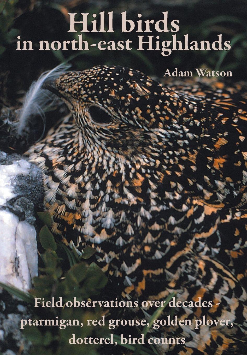 Vorderes Coverbild Hill Birds in North-East Highlands