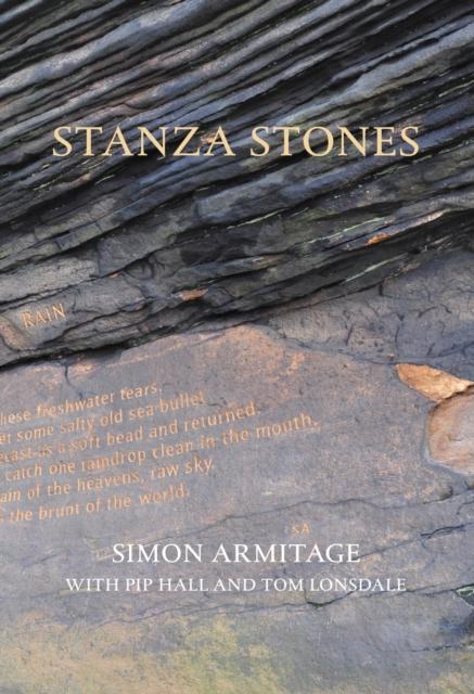 Vorderes Coverbild Stanza Stones