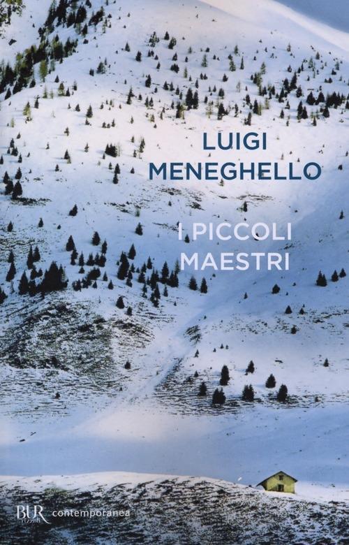 Vorderes Coverbild I piccoli maestri