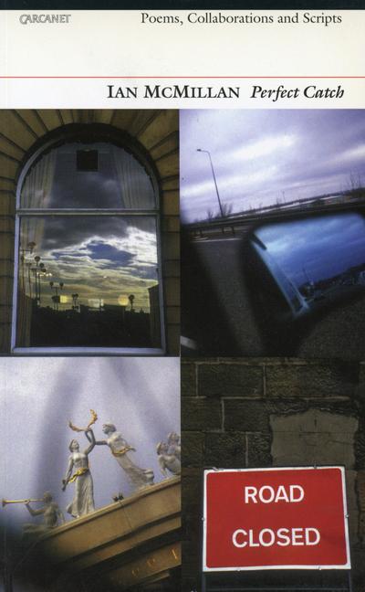 Vorderes Coverbild Perfect Catch: Poems, Collaborations & Scripts