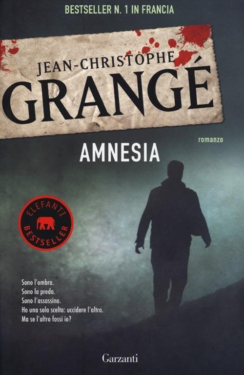 Vorderes Coverbild Amnesia