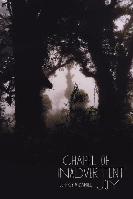 Vorderes Coverbild Chapel of Inadvertent Joy