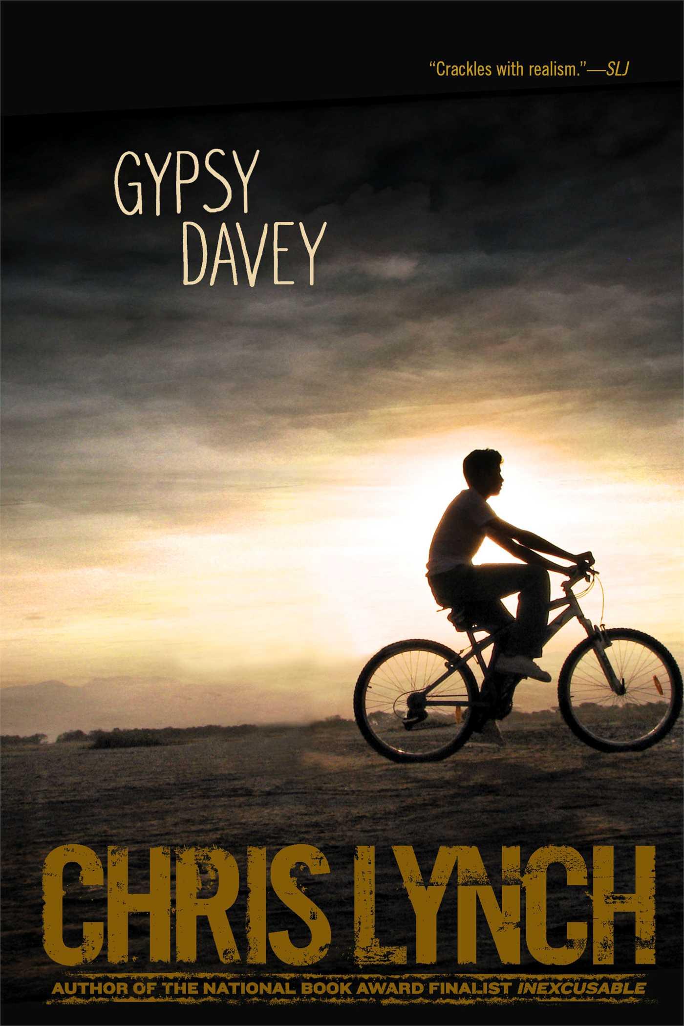 Vorderes Coverbild Gypsy Davey