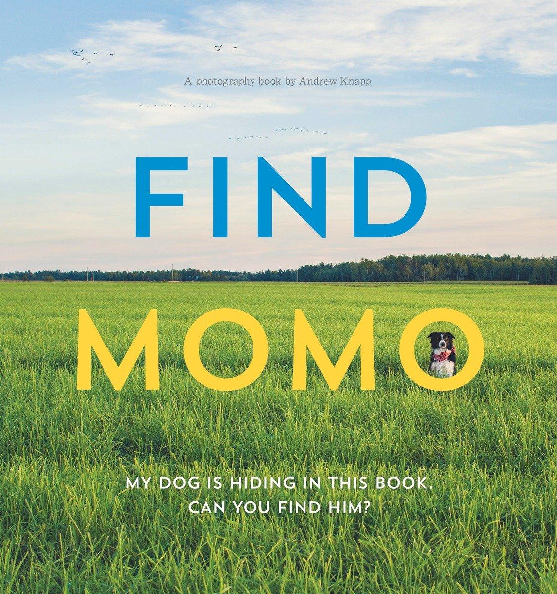 Vorderes Coverbild Find Momo