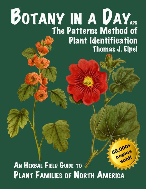 Vorderes Coverbild Botany in a Day: The Patterns Method of Plant Identification