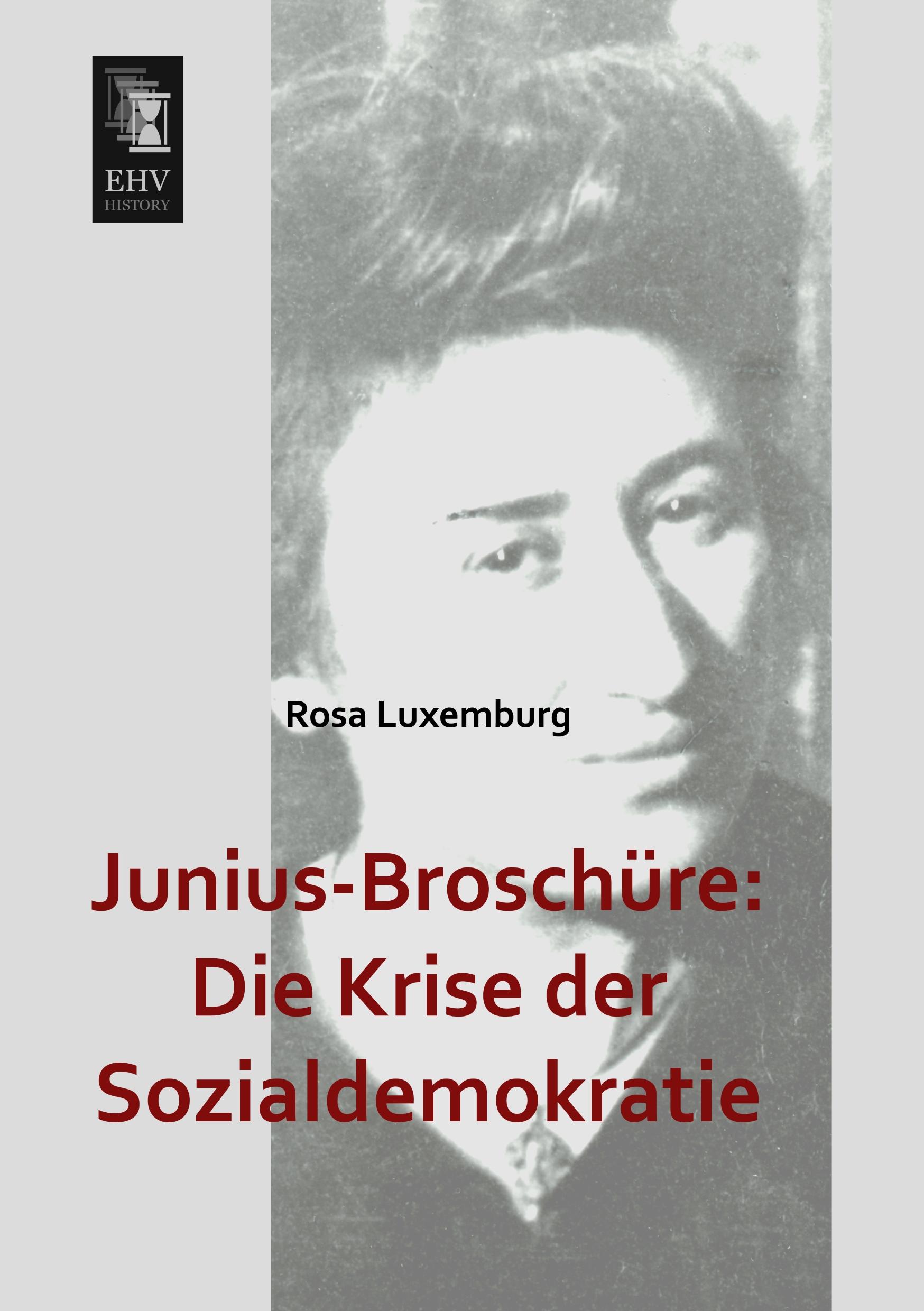 Vorderes Coverbild Junius-Broschüre: Die Krise der Sozialdemokratie