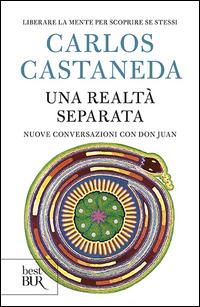 Vorderes Coverbild Una realtà separata. Nuove conversazioni con don Juan