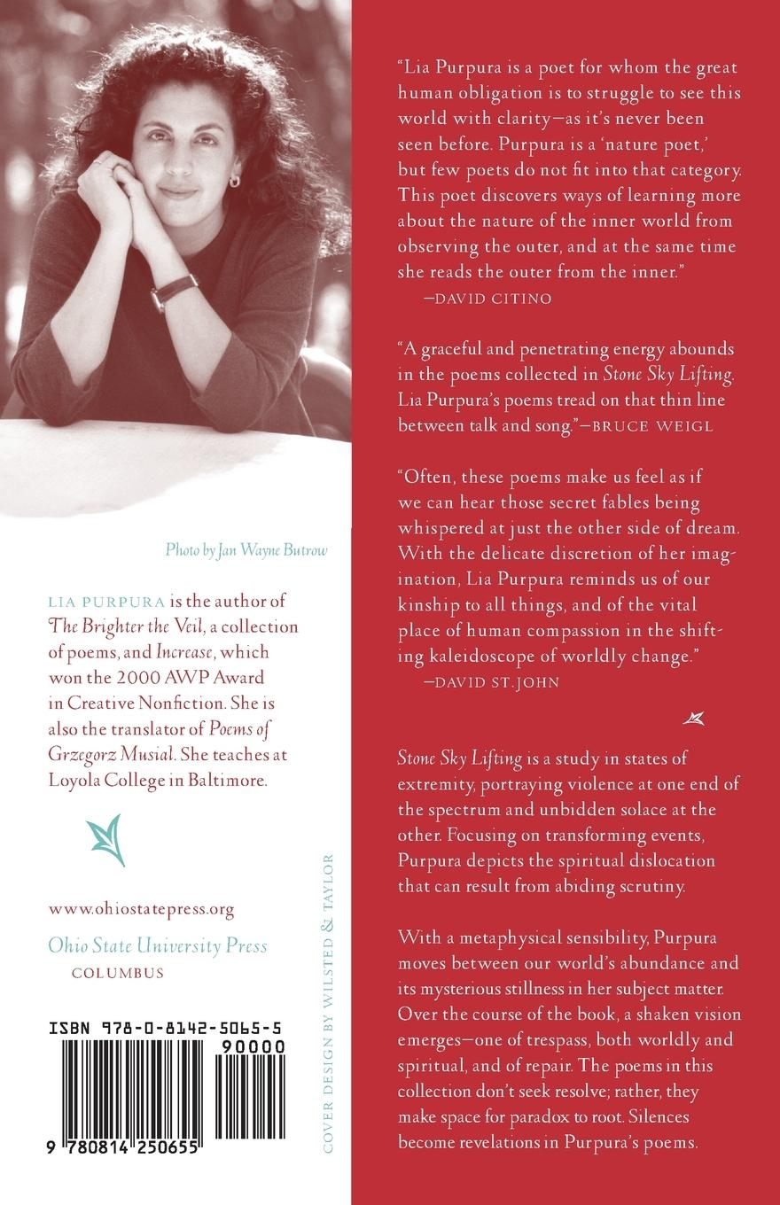 Rückseitencover STONE SKY LIFTING