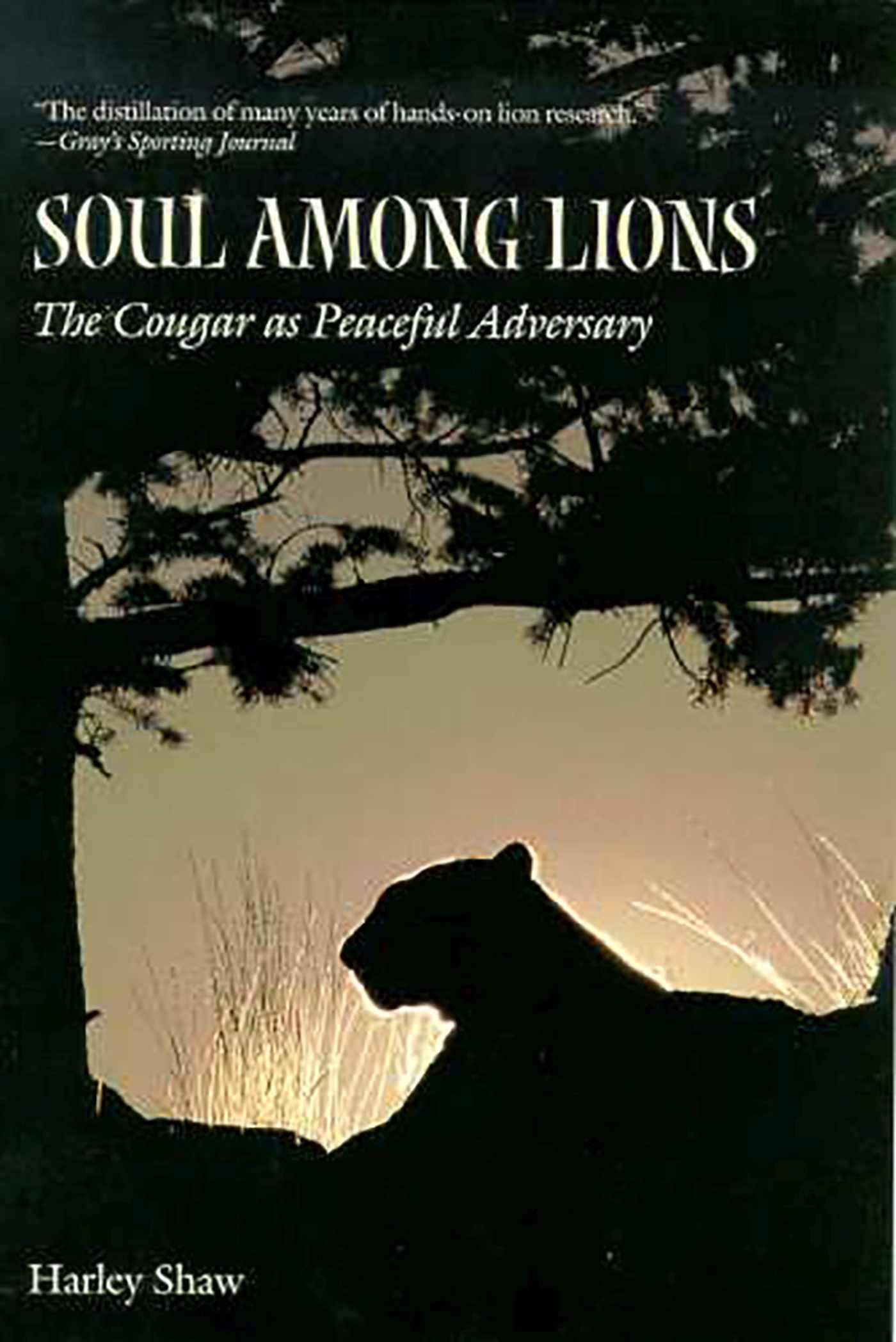 Vorderes Coverbild Soul Among Lions