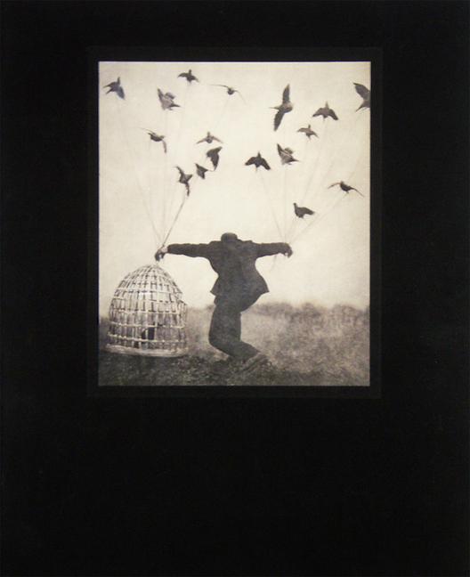 Vorderes Coverbild Robert and Shana Parkeharrison: The Architect's Brother
