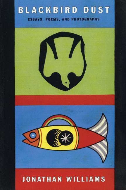 Vorderes Coverbild Blackbird Dust