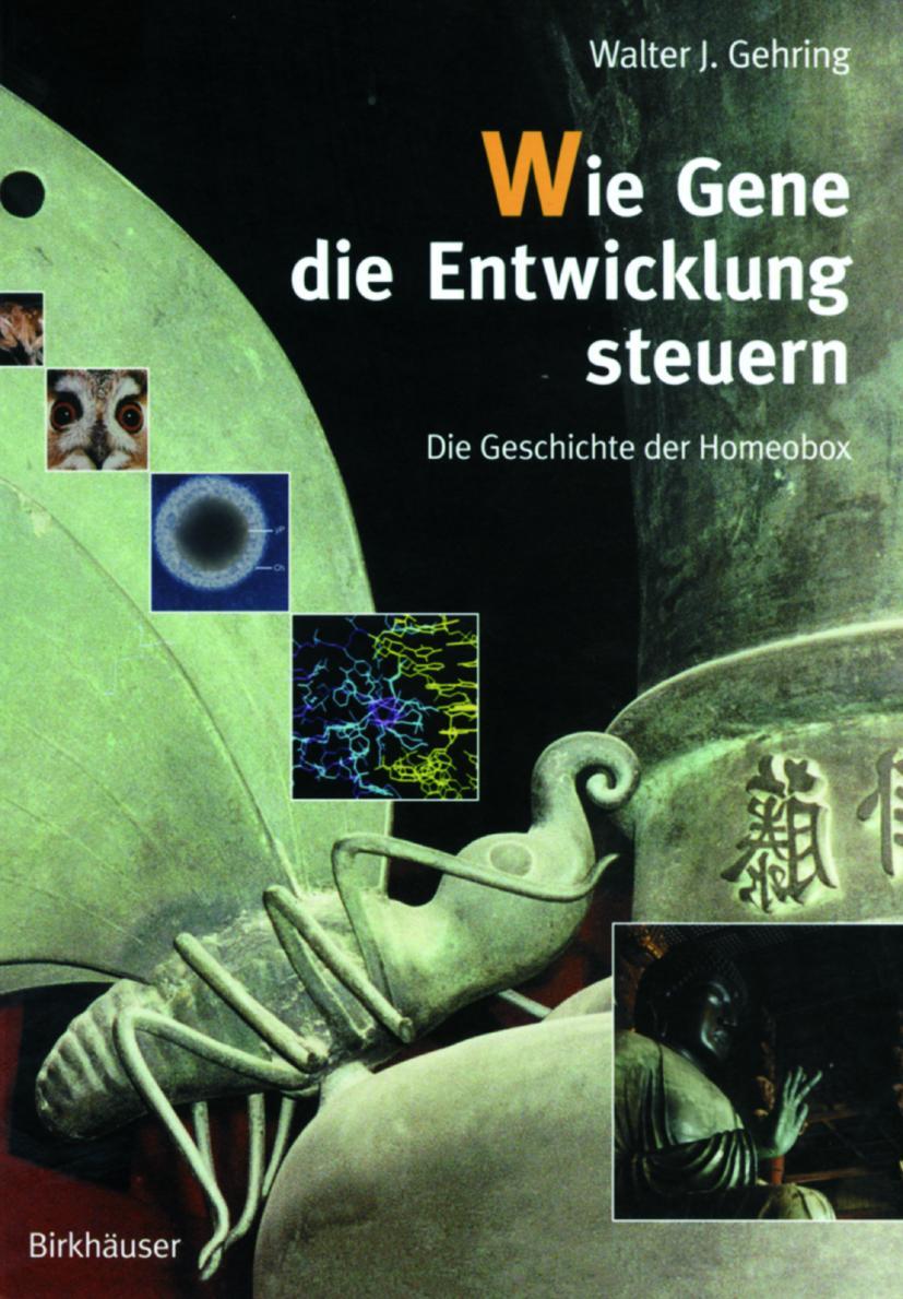 Vorderes Coverbild Wie Gene die Entwicklung steuern
