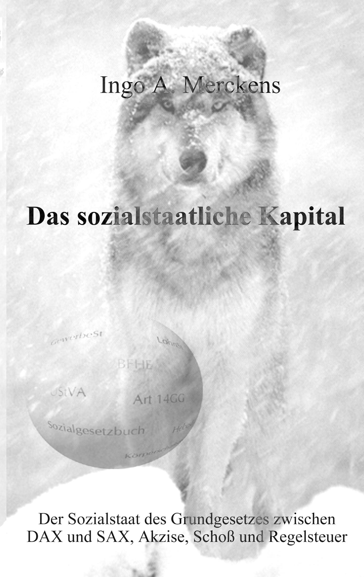 Vorderes Coverbild Das sozialstaatliche Kapital