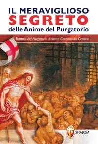 Vorderes Coverbild Il meraviglioso segreto delle anime del purgatorio