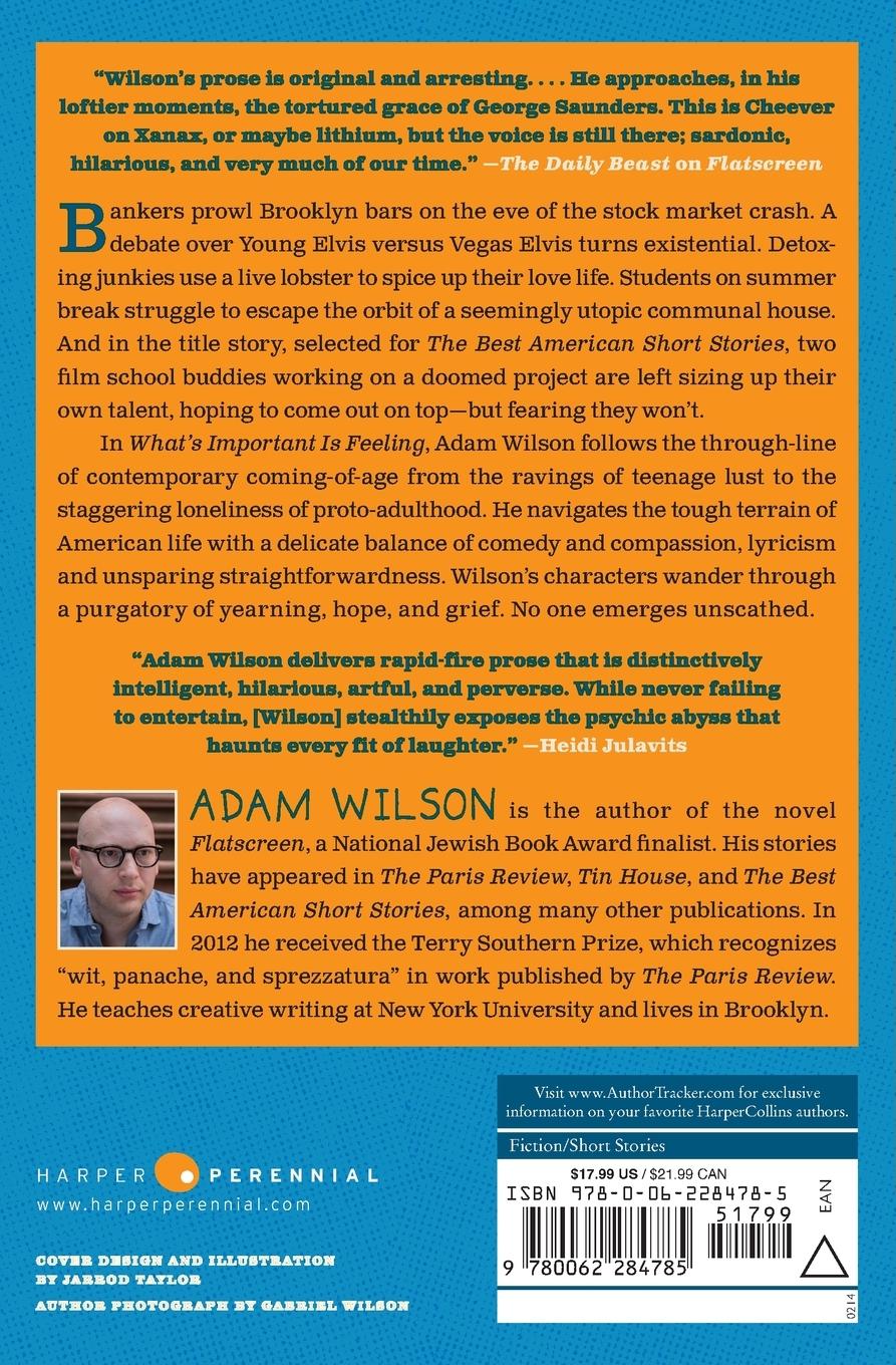 Rückseitencover What's Important Is Feeling