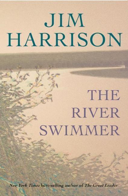Vorderes Coverbild The River Swimmer