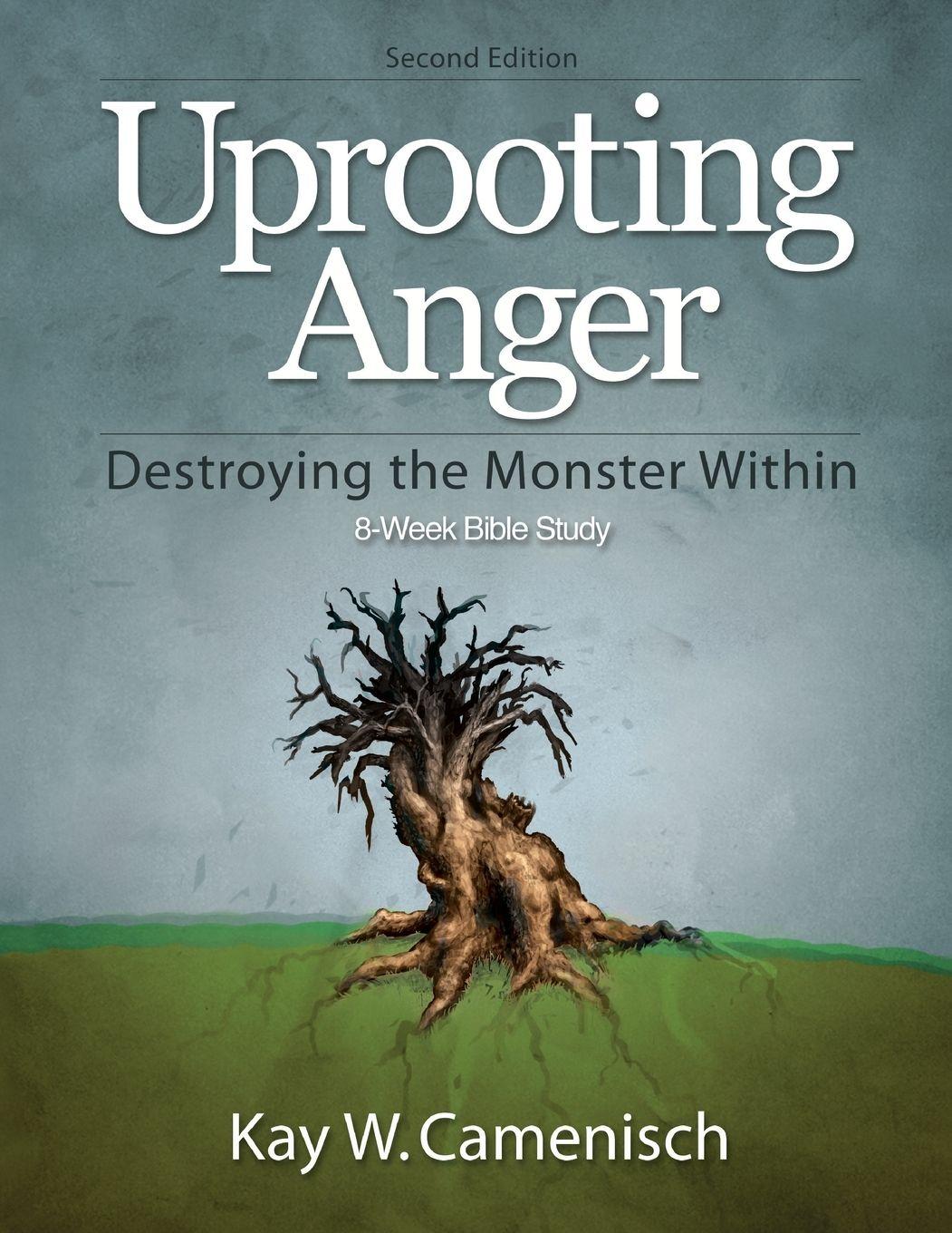 Vorderes Coverbild Uprooting Anger