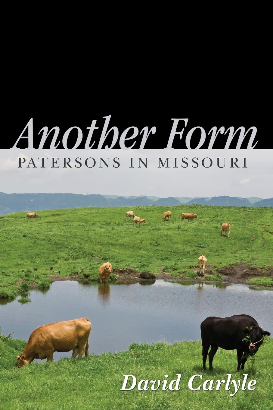 Vorderes Coverbild Another Form