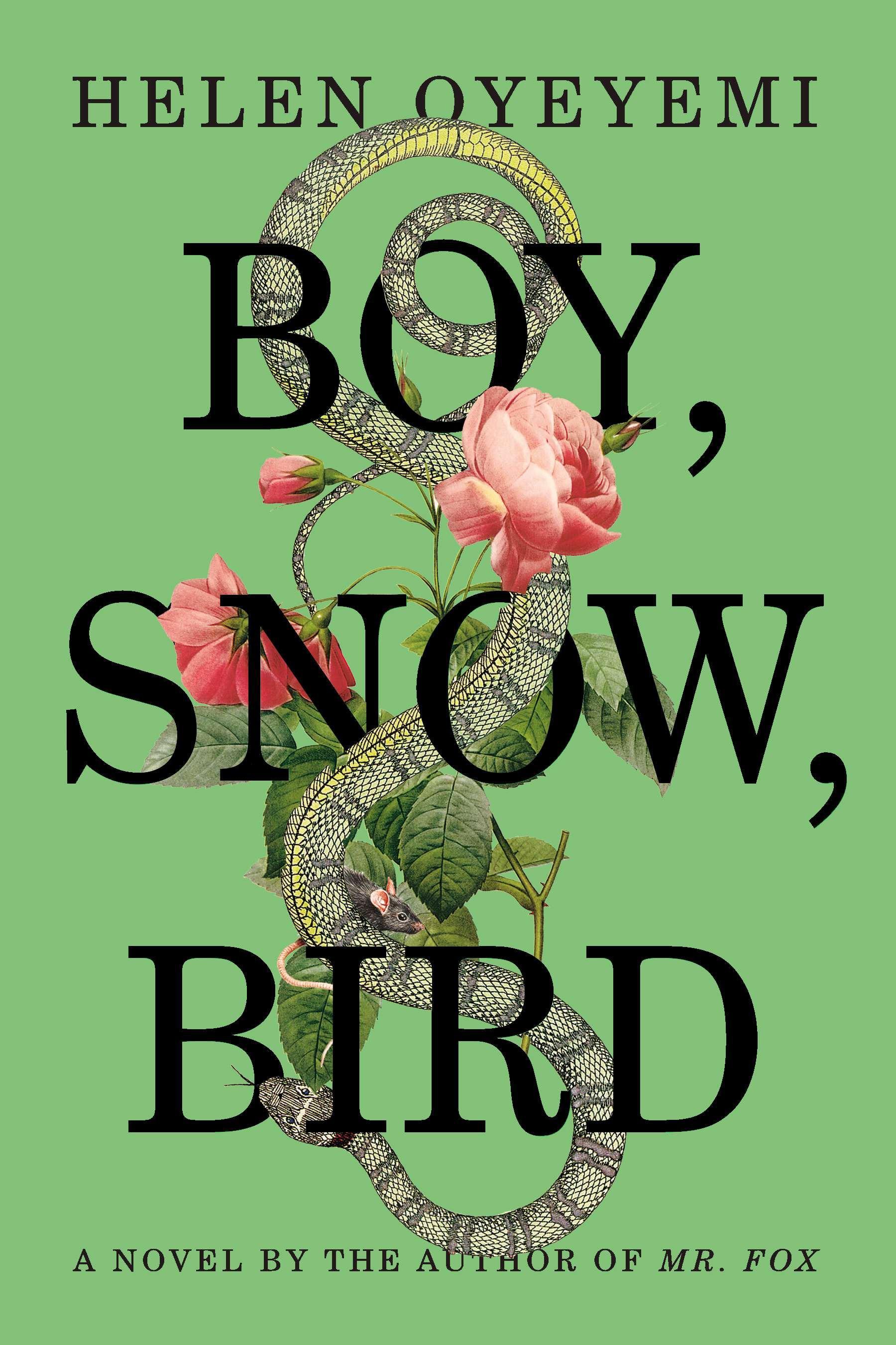 Vorderes Coverbild Boy, Snow, Bird