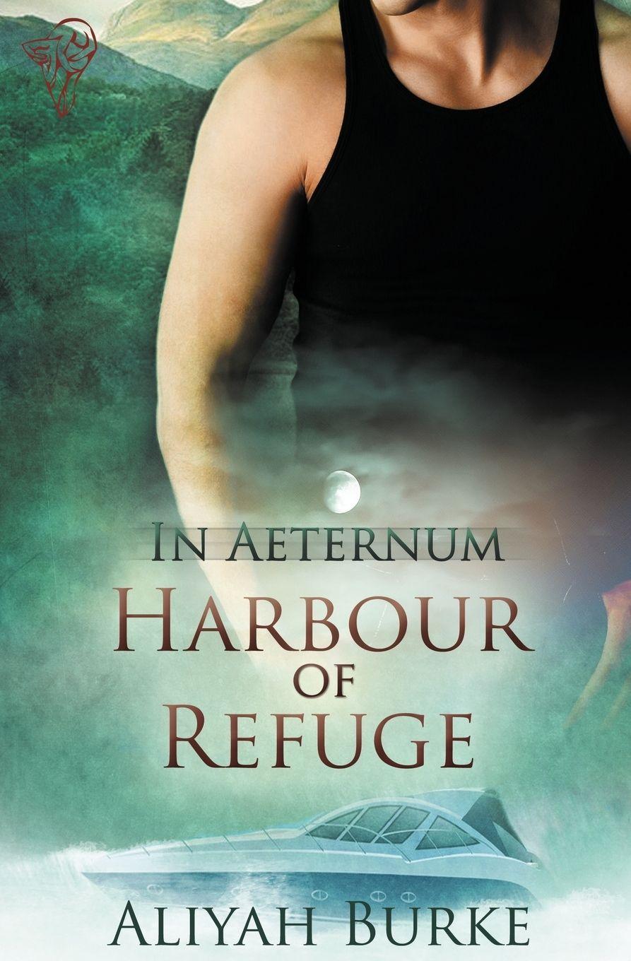 Vorderes Coverbild In Aeternum