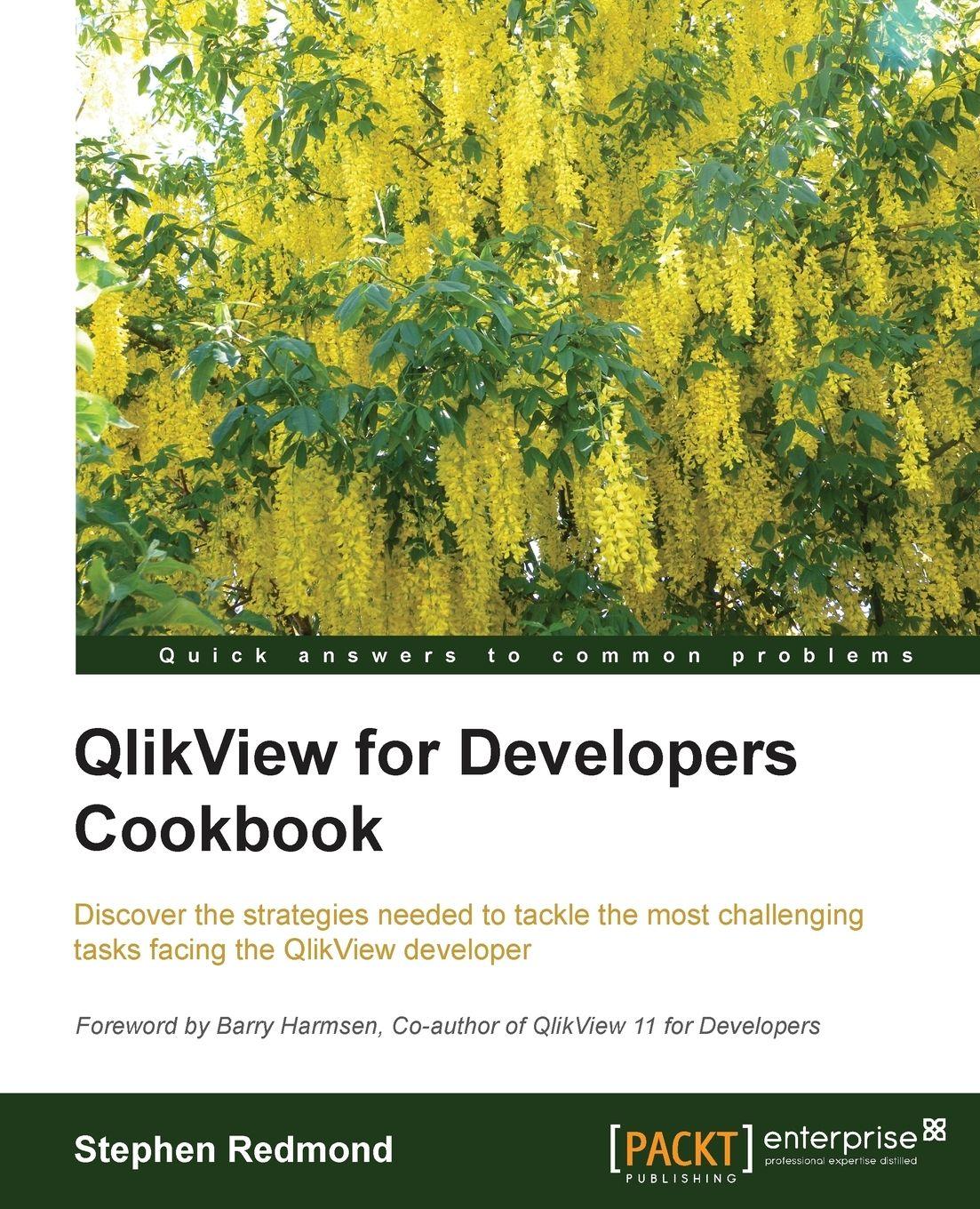 Vorderes Coverbild Qlikview for Developers Cookbook