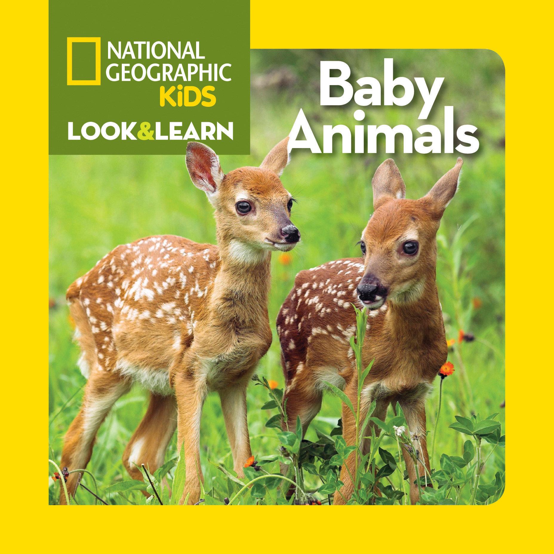 Vorderes Coverbild National Geographic Kids Look & Learn: Baby Animals