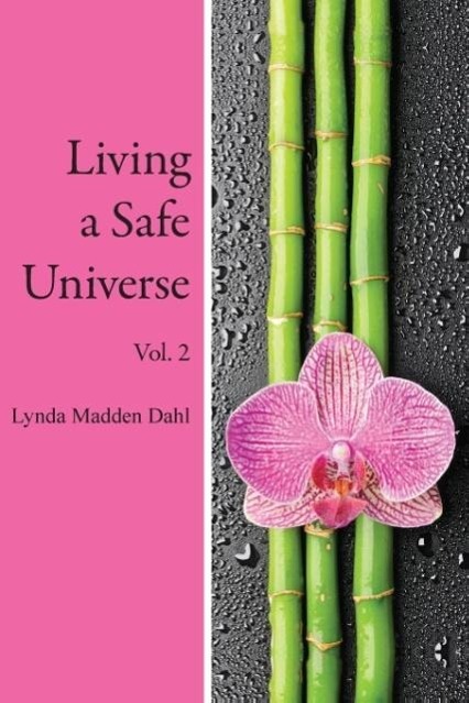 Vorderes Coverbild Living a Safe Universe, Vol. 2