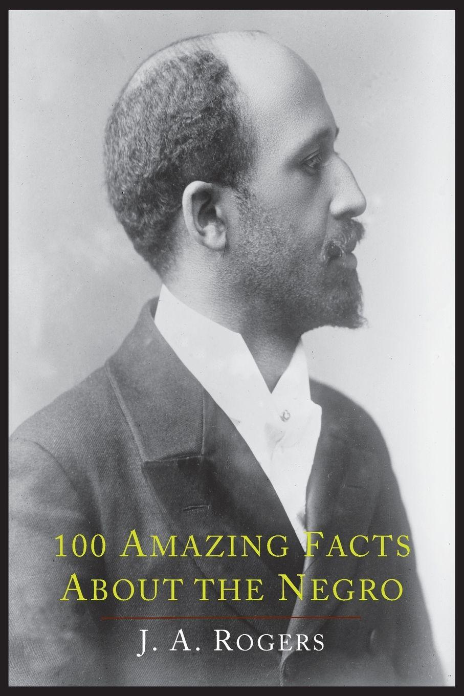 Vorderes Coverbild 100 Amazing Facts about the Negro with Complete Proof