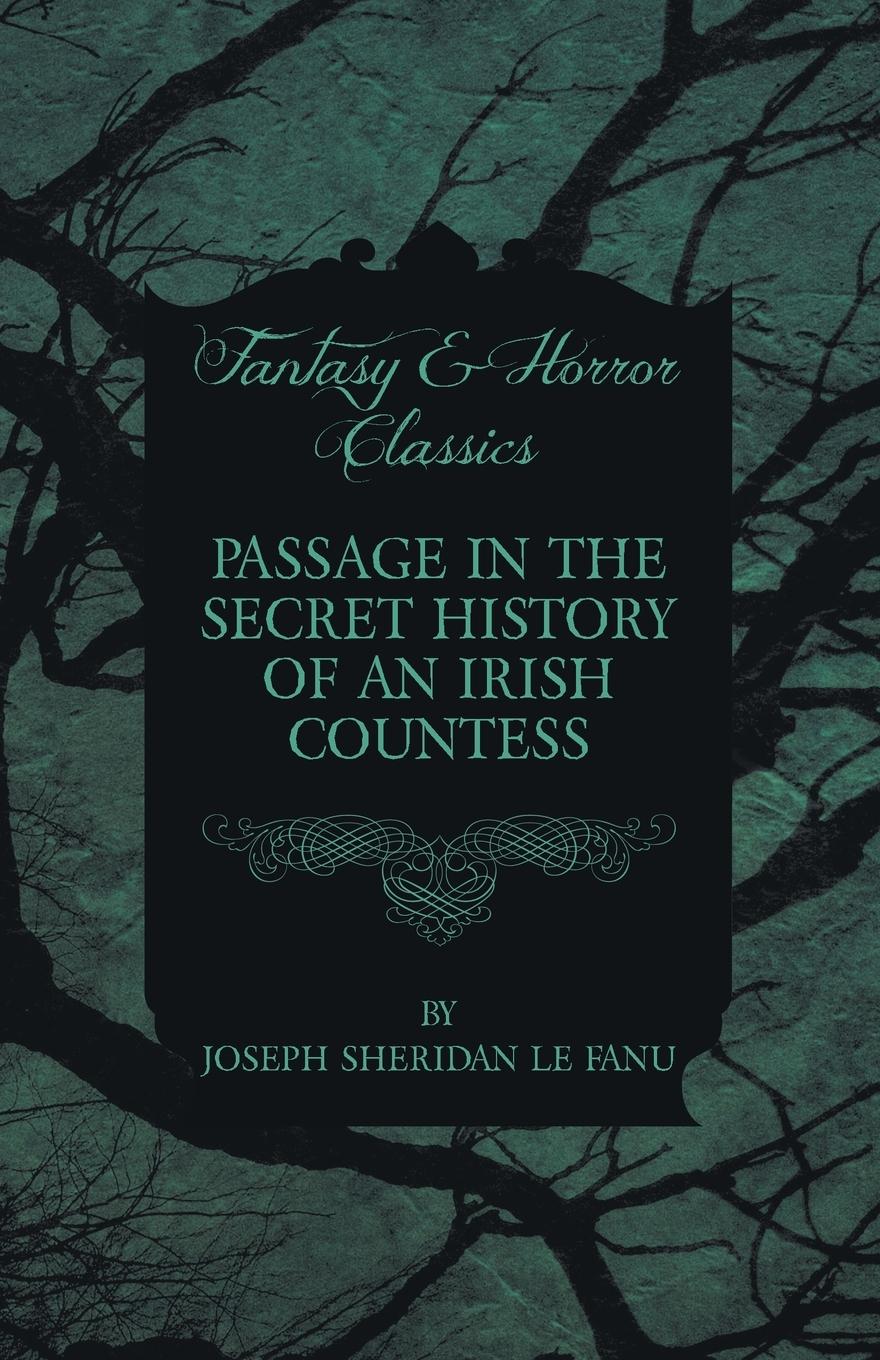 Vorderes Coverbild Passage in the Secret History of an Irish Countess