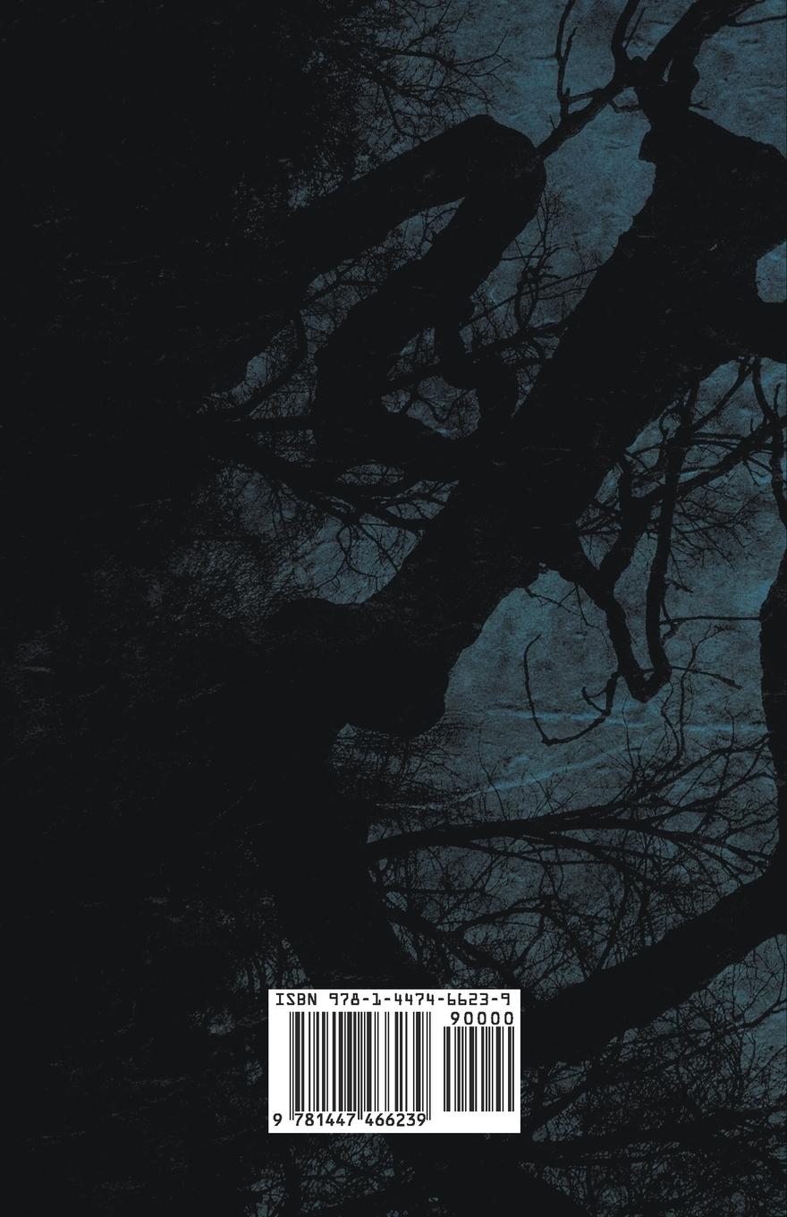 Rückseitencover The Child That Went with the Fairies