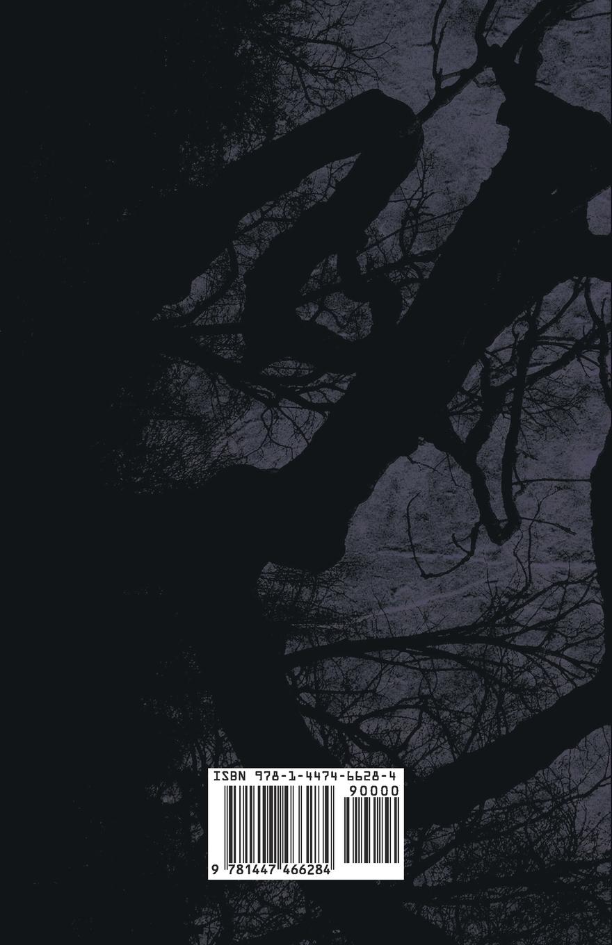 Rückseitencover The Ghost and the Bone-Setter