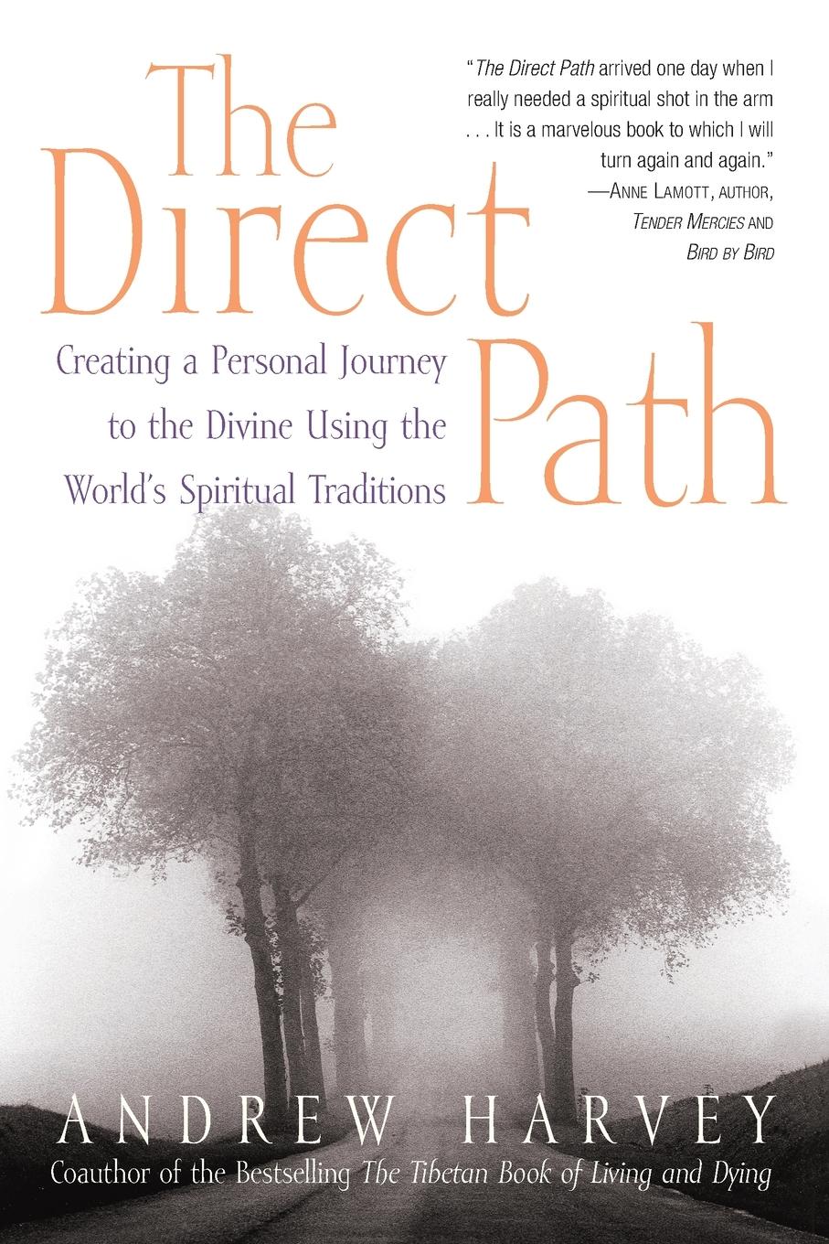 Vorderes Coverbild The Direct Path