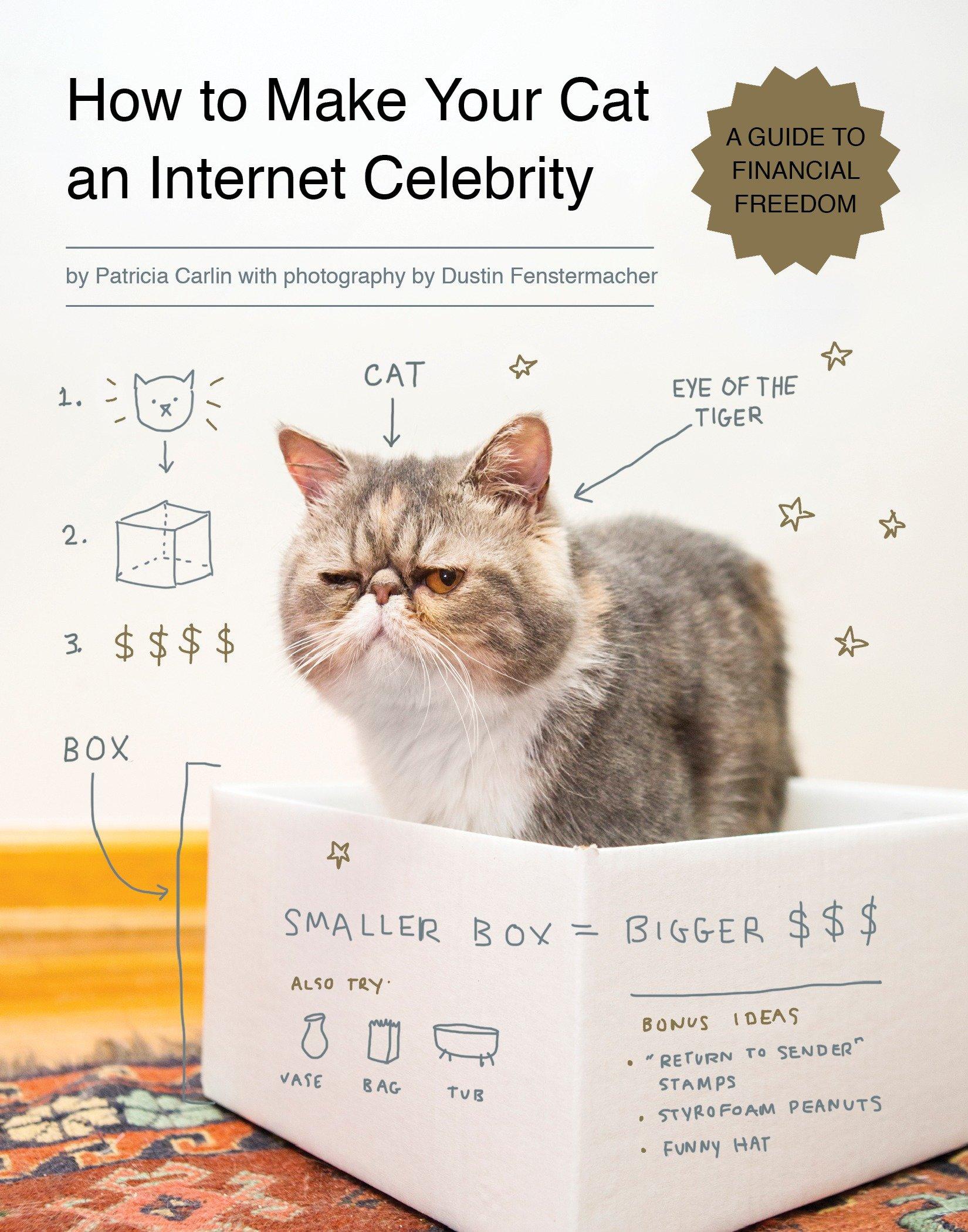 Vorderes Coverbild How to Make Your Cat an Internet Celebrity