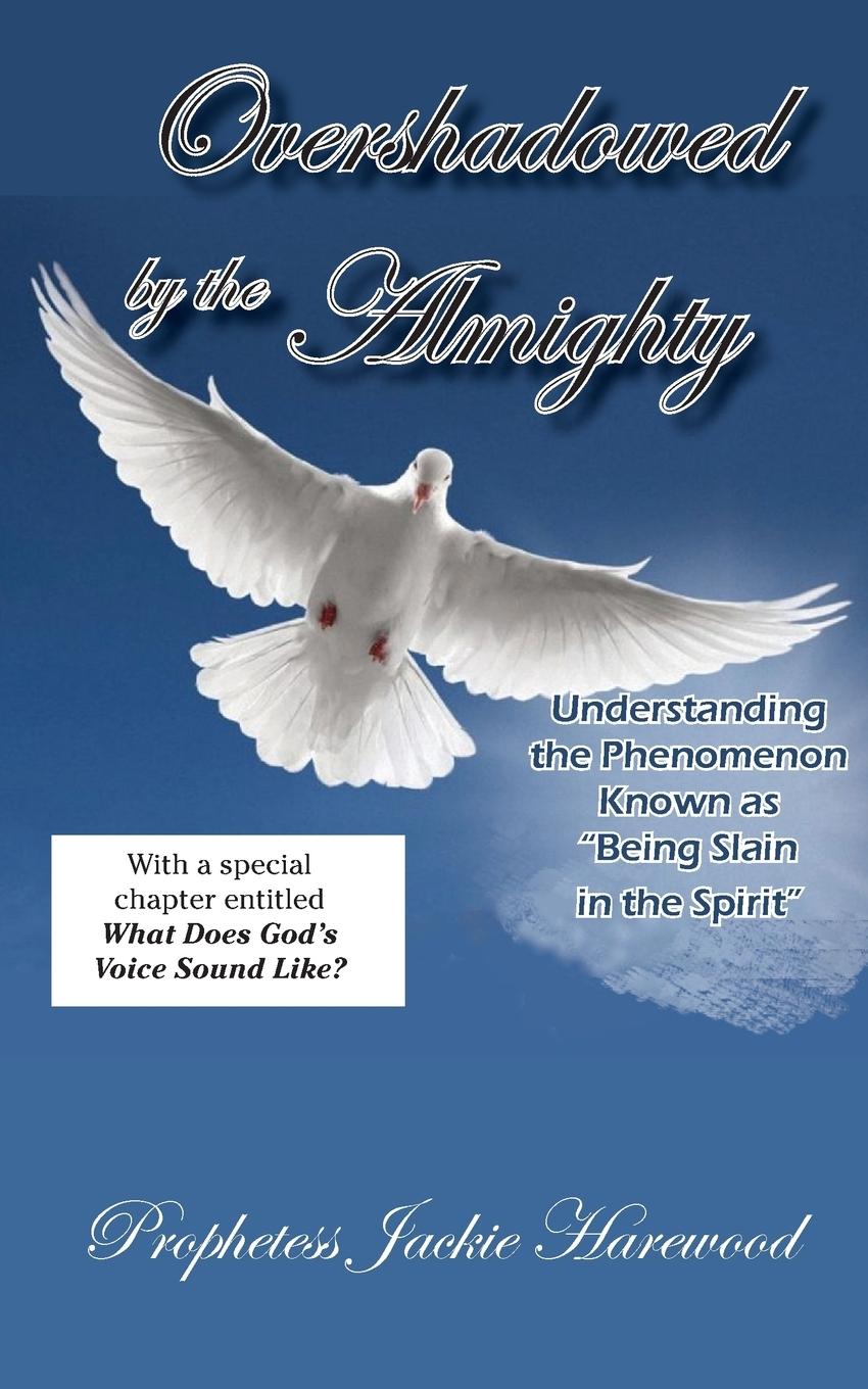 Vorderes Coverbild Overshadowed by the Almighty