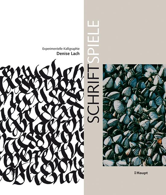 Vorderes Coverbild Schriftspiele
