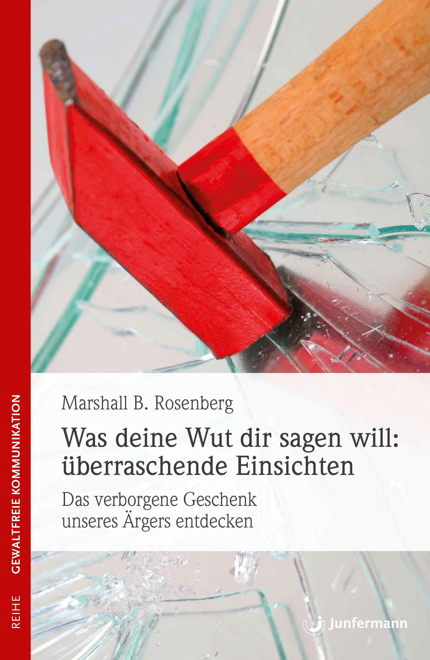 Vorderes Coverbild Was deine Wut dir sagen will: überraschende Einsichten