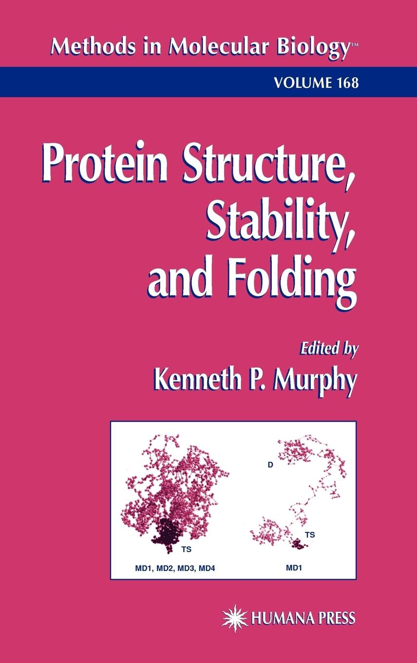 Vorderes Coverbild Protein Structure, Stability, and Folding