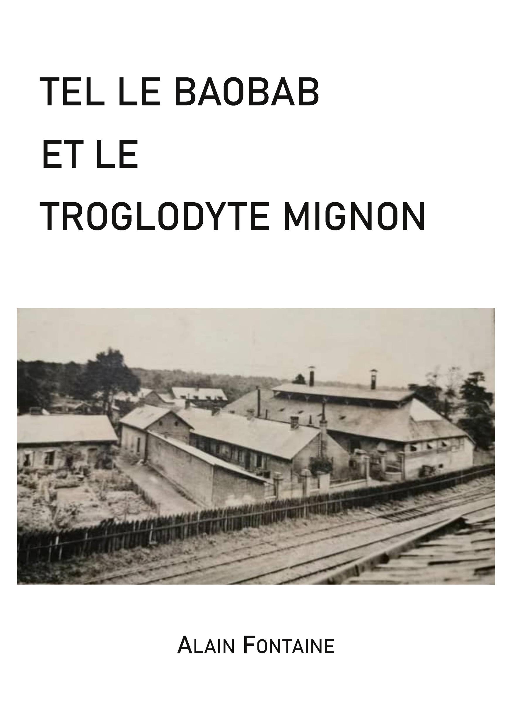 Vorderes Coverbild Paradox